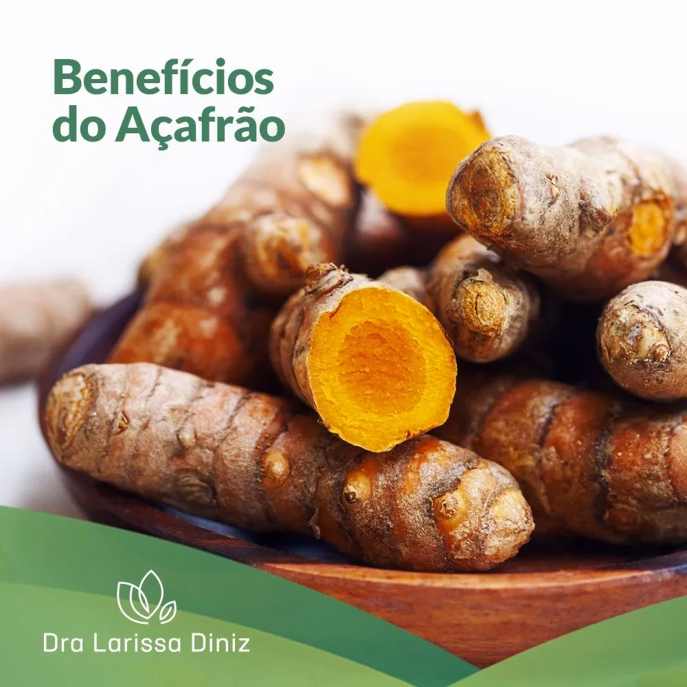 C&uacute;rcuma ou A&ccedil;afr&atilde;o-da-&iacute;ndia &eacute; a mesma coisa?