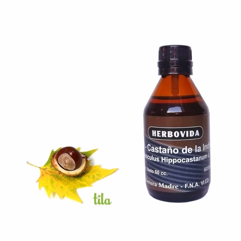 &iquest;C&oacute;mo se debe tomar la tintura de casta&ntilde;a de indias?