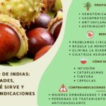Castaño de Indias: Alivio para las Hemorroides