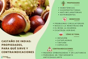 Castaño de Indias: Alivio para las Hemorroides