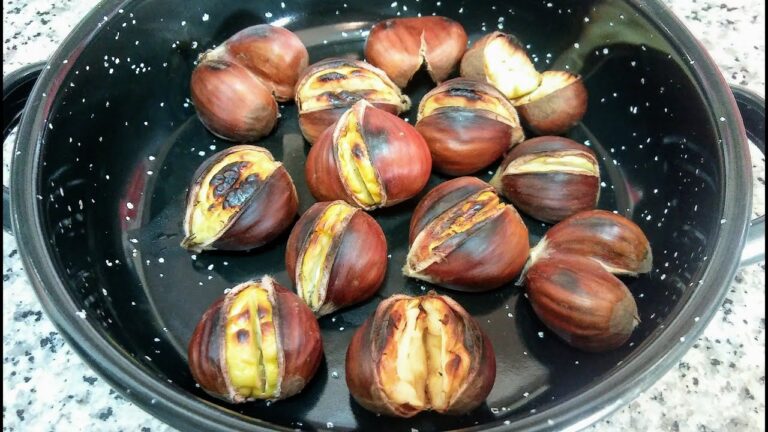 Casta&ntilde;a de Indias: Beneficios, Usos y Precauciones