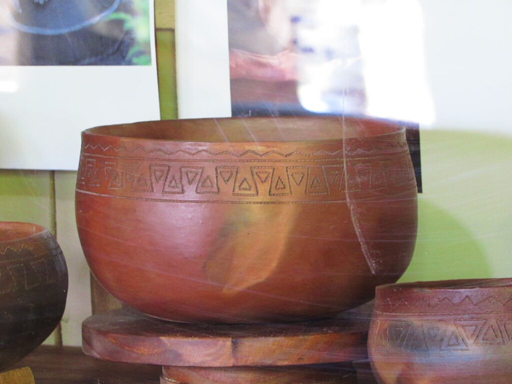 La Dieta de los Querandíes: Cazadores de la Pampa