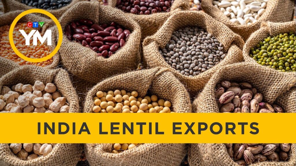 Legumbres en India: El Mayor Importador Mundial