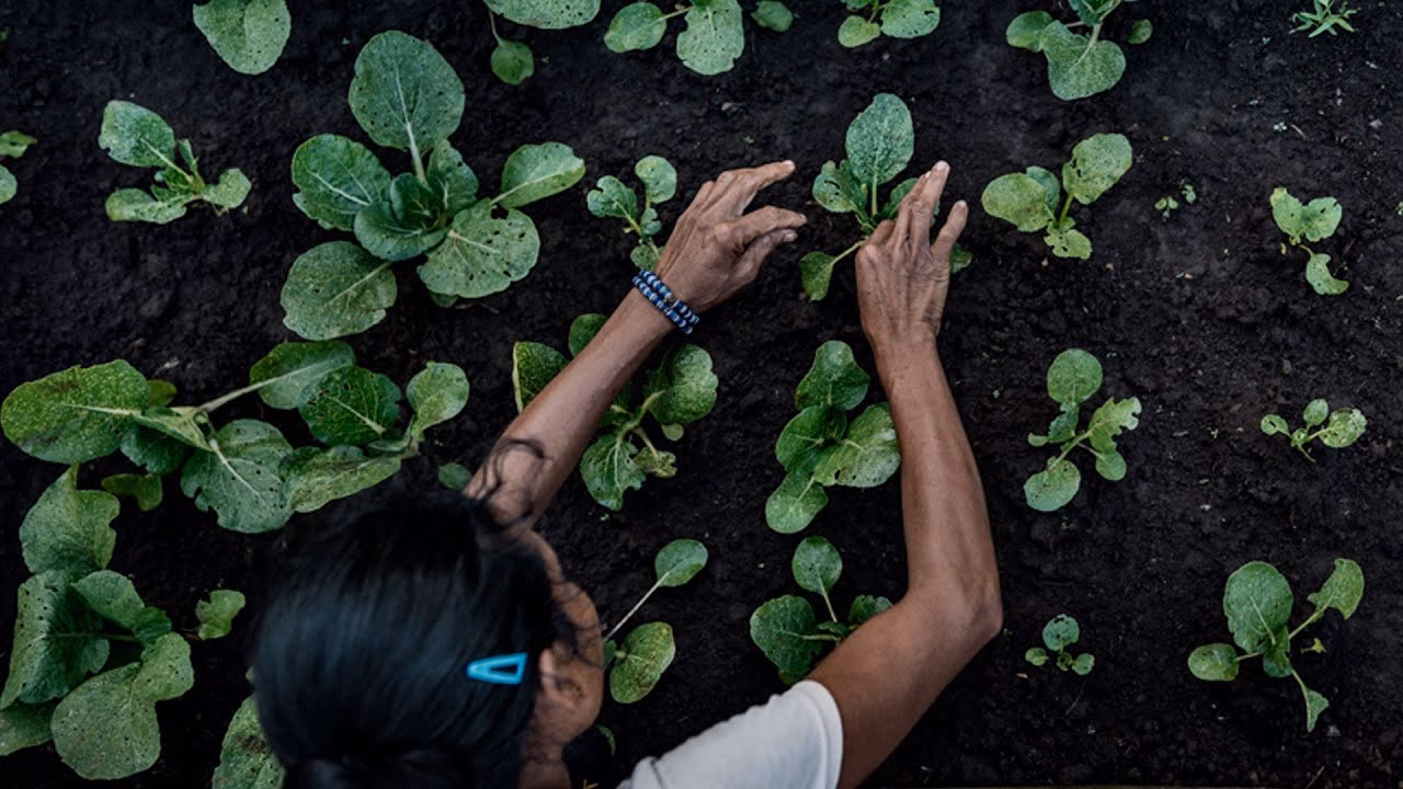 &iquest;C&oacute;mo aprovechan los suelos los ind&iacute;genas?