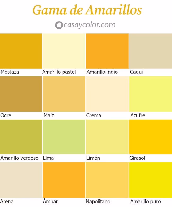 &iquest;Qu&eacute; color cubre el amarillo en la pared?