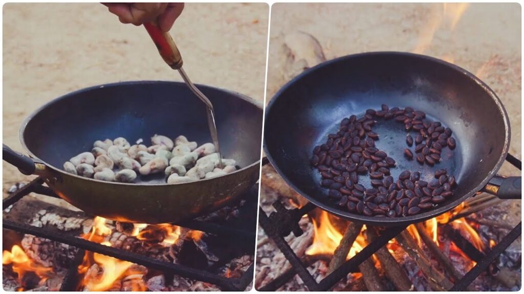 Guía Definitiva para Cosechar y Secar Nueces