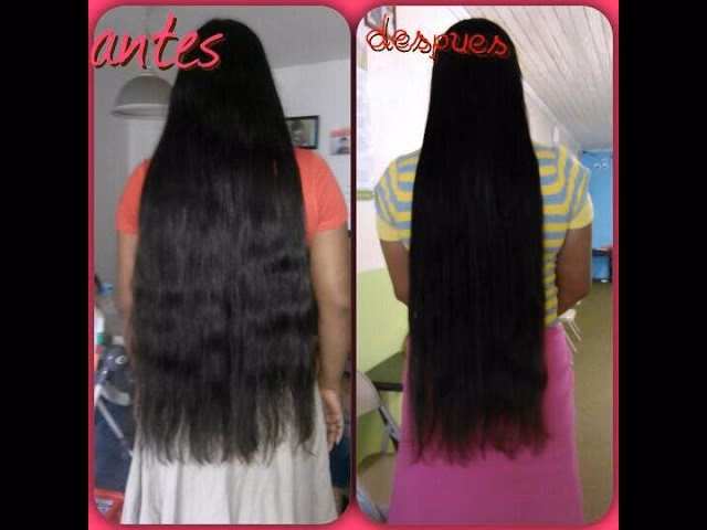 &iquest;Qu&eacute; planta usan en la India para el cabello?