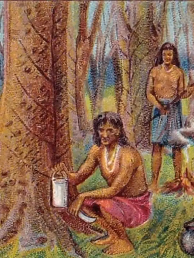 &iquest;C&oacute;mo ven la tierra los ind&iacute;genas?