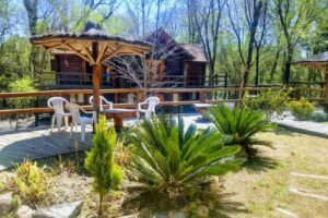 “El Algarrobo del Indio cabañas & Spa”