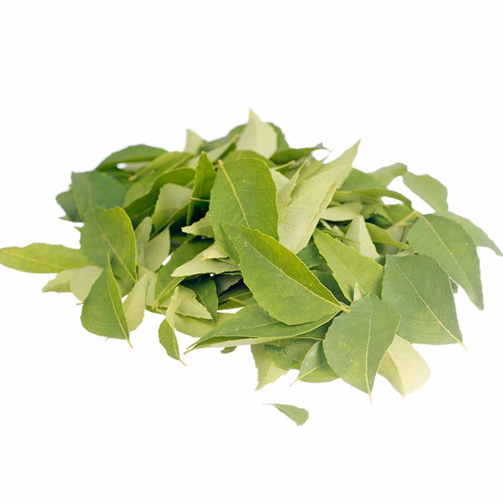 &iquest;C&oacute;mo se llama la hoja que comen en la India?