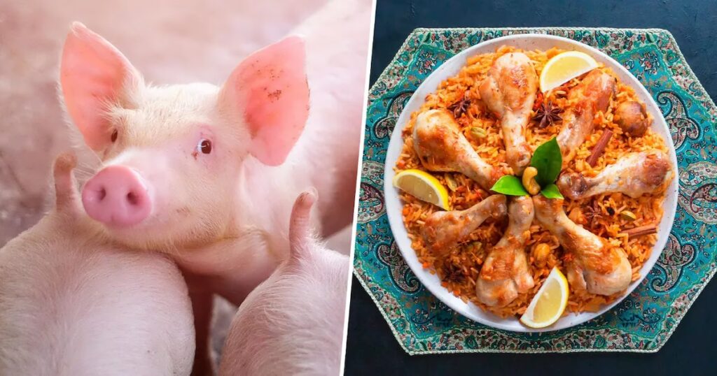 Carne de Cerdo en India: ¿Mito o Realidad Legal?