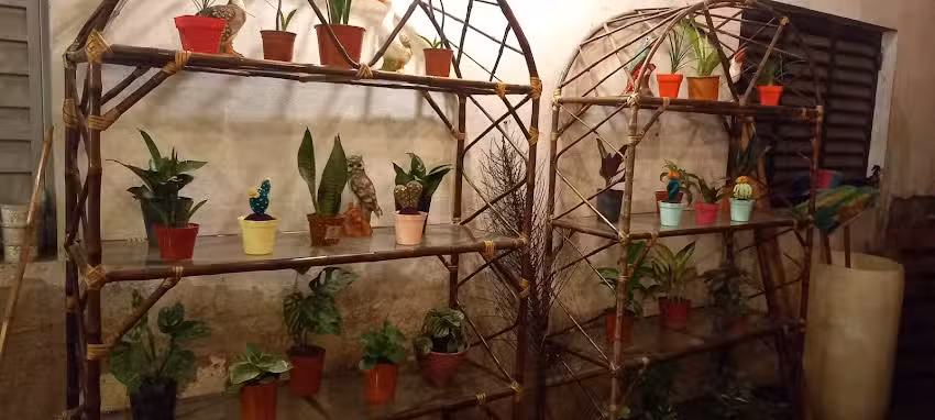 India&rsquo;s Arte Deco e Indumentaria