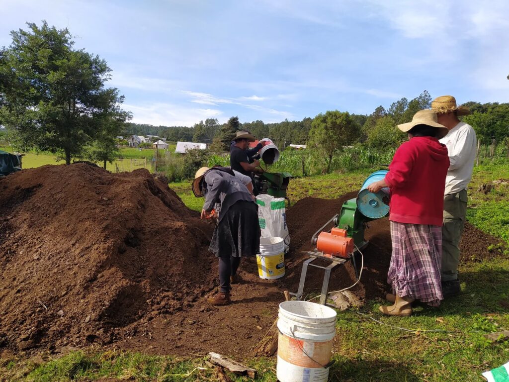 La Agricultura de India: El Alma de su Cocina