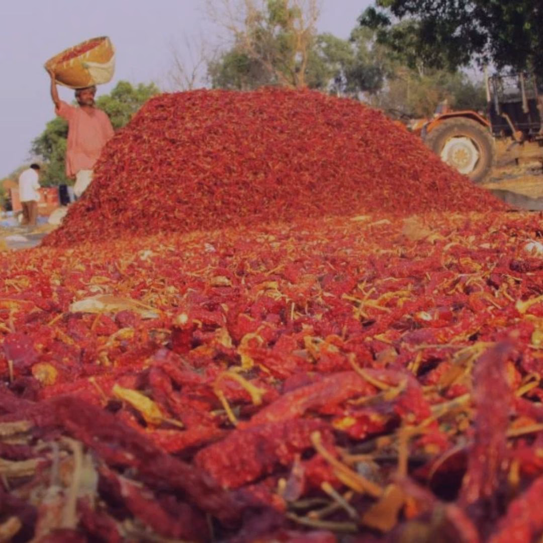 &iquest;Qu&eacute; sabor tiene la comida india?