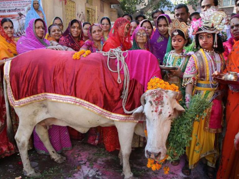 La Vaca Sagrada: El Secreto de la Cocina India