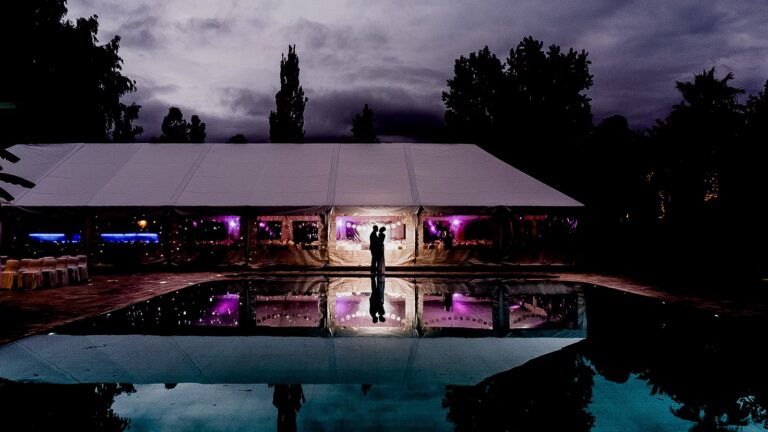 El Universo del Curry Indio: Sabores y Especias