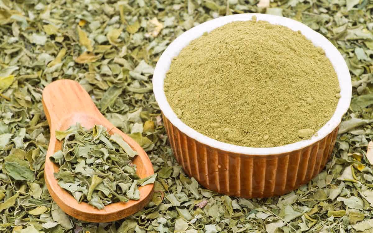 &iquest;Cu&aacute;les son las 300 enfermedades que cura la moringa?
