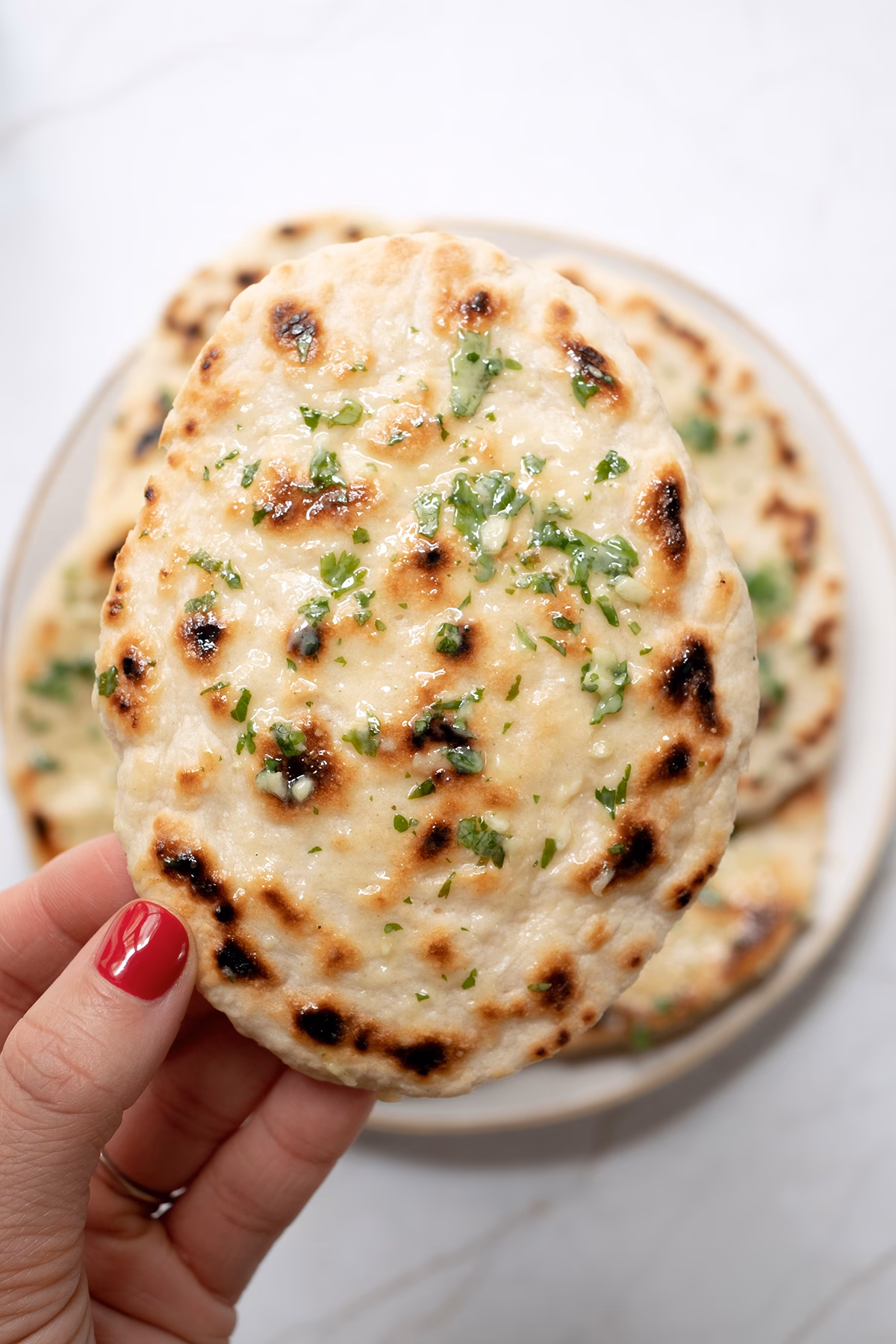 &iquest;Qu&eacute; es el naan en espa&ntilde;ol?