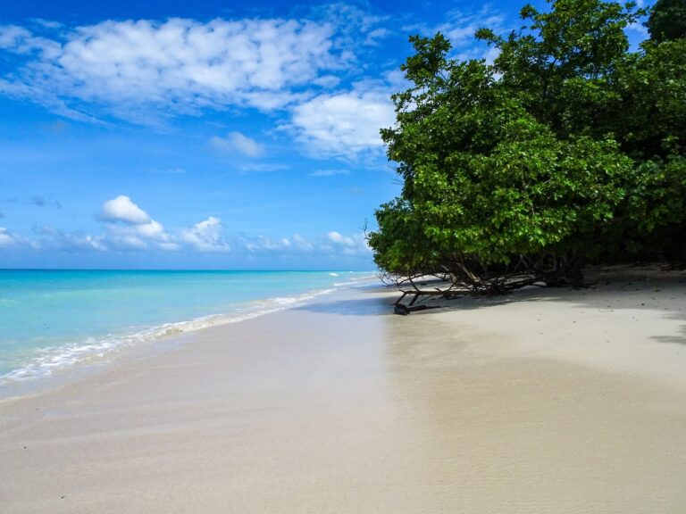 Andam&aacute;n y Nicobar: Gu&iacute;a del Para&iacute;so Indio Oculto