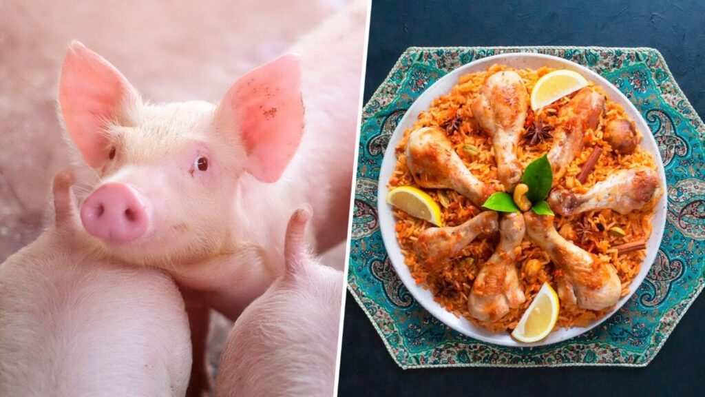 El Cerdo en India: Un Tabú Culinario Explicado
