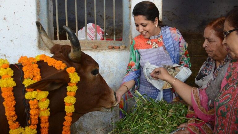 Comer Vaca en el Hinduismo: &iquest;Pecado y Penitencia?