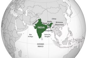 Sabores sin Fronteras en la Cocina India