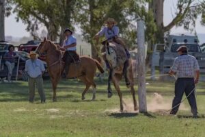 Rincon Criollo Indio rico